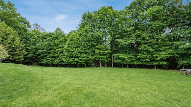 440 Dorrence Rd, Granville, OH 43023 - photo 81