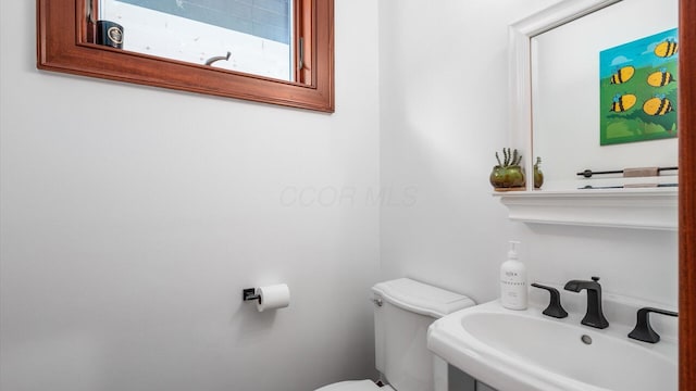 440 Dorrence Rd, Granville, OH 43023 - photo 40