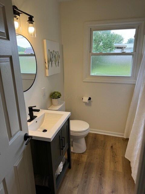 bathroom featuring vanity, wood-type flooring, and toilet