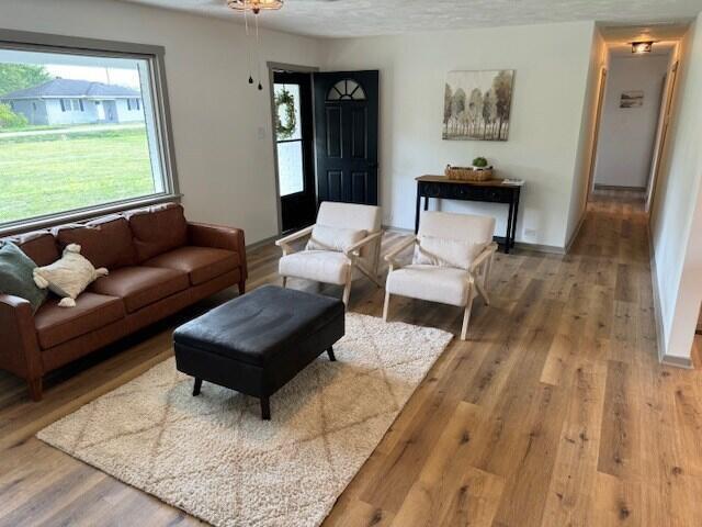 living room featuring hardwood / wood-style flooring and a textured ceiling