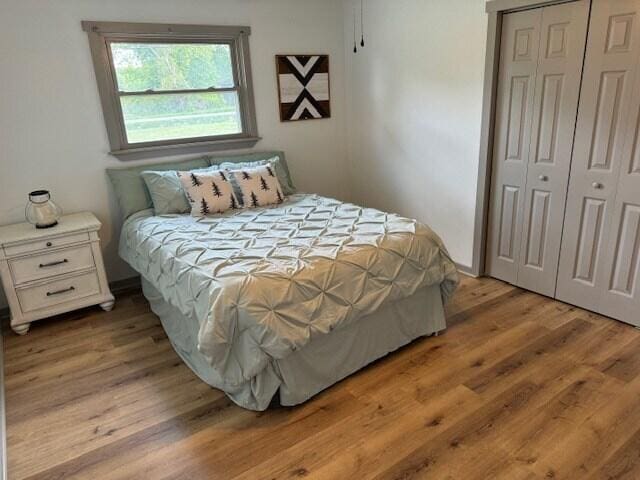 bedroom with a closet and light wood-type flooring