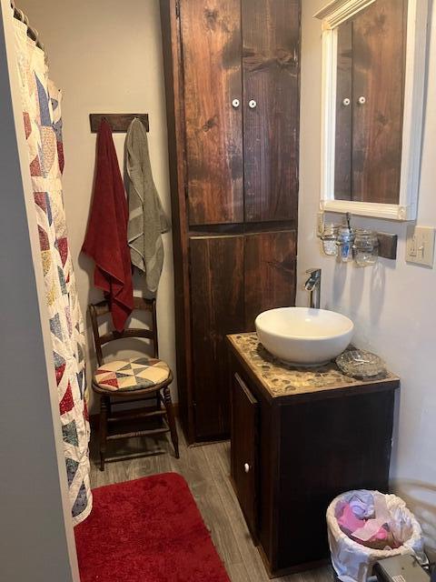 bathroom with wood finished floors and vanity