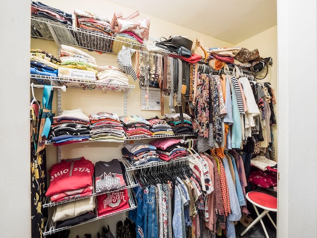 view of walk in closet