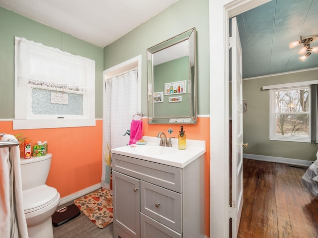 bathroom featuring hardwood / wood-style flooring, vanity, and toilet