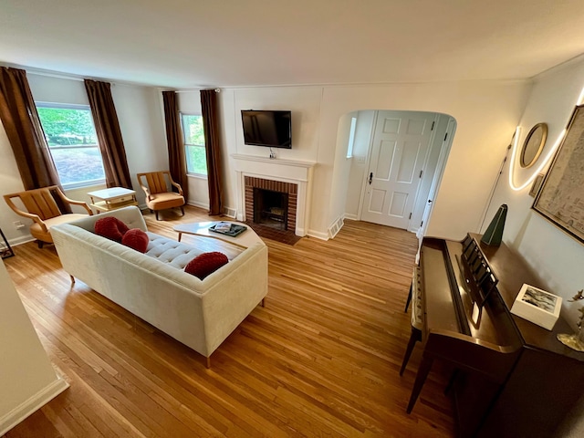 living room with a fireplace and light wood-type flooring