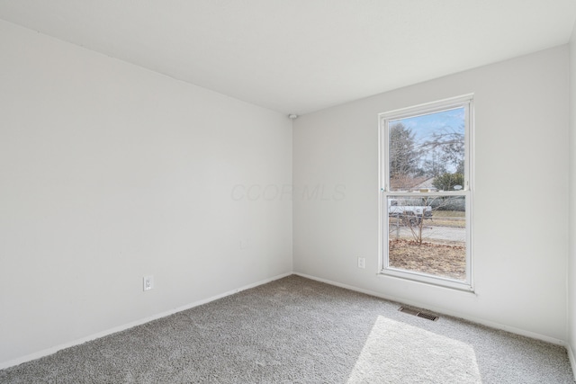 empty room featuring carpet floors