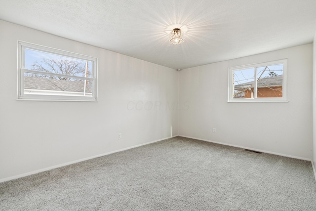 carpeted spare room with plenty of natural light