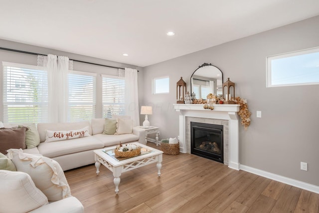 living room featuring a fireplace and light hardwood / wood-style floors