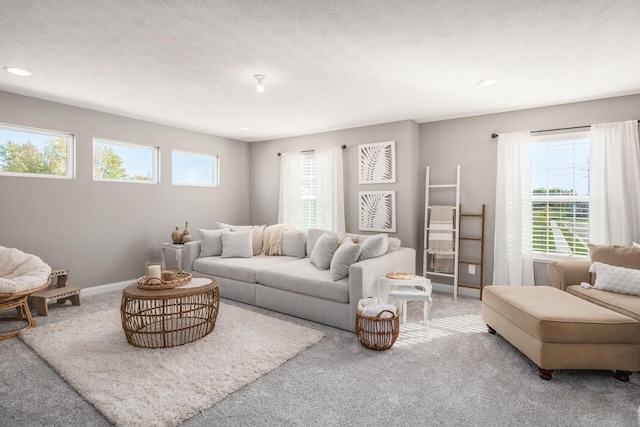 living room featuring carpet and a textured ceiling