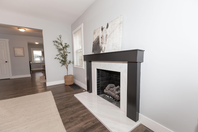 living room featuring dark hardwood / wood-style flooring and a fireplace