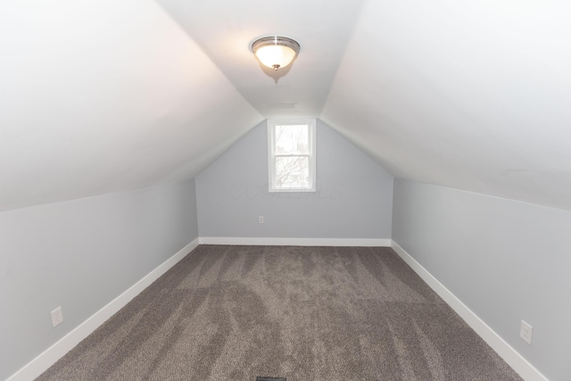 additional living space with lofted ceiling and carpet floors