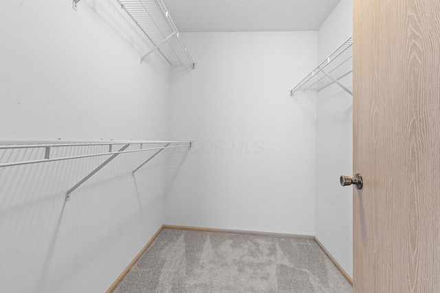 spacious closet with carpet flooring
