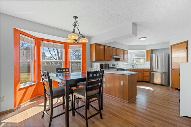 dining room featuring a healthy amount of sunlight, a textured ceiling, baseboards, and wood finished floors