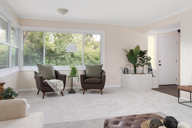 living room with a wealth of natural light, ornamental molding, and carpet