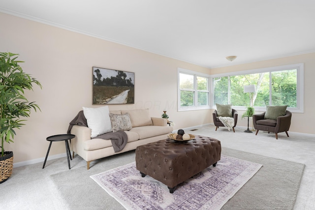 carpeted living room featuring crown molding