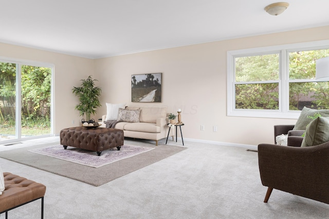 living room with carpet