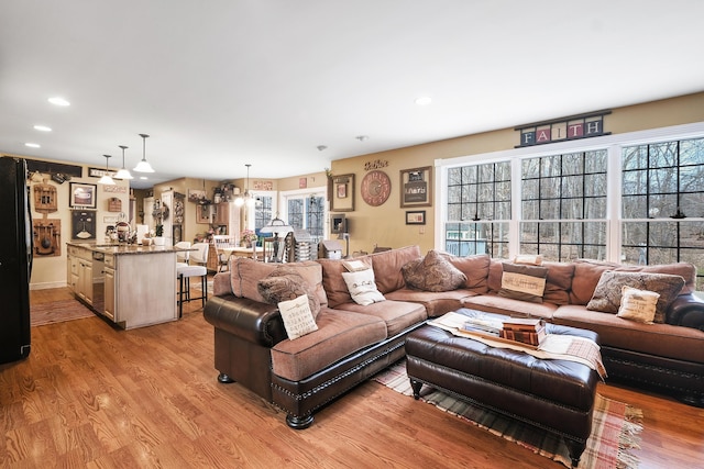 living room featuring light hardwood / wood-style floors