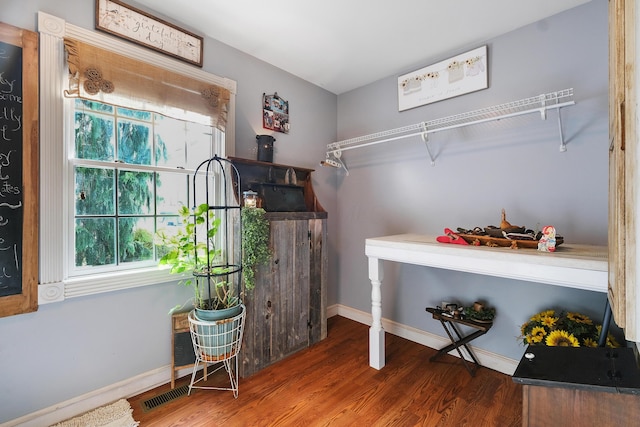 walk in closet with hardwood / wood-style floors