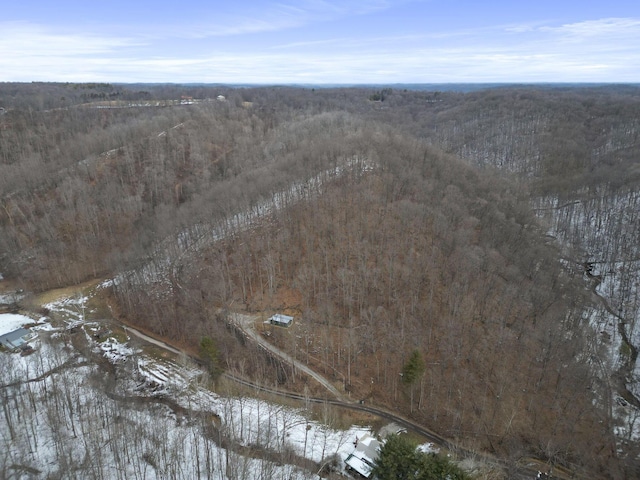 snowy aerial view featuring a view of trees