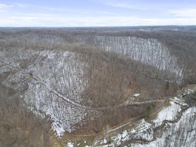 aerial view featuring a water view and a forest view