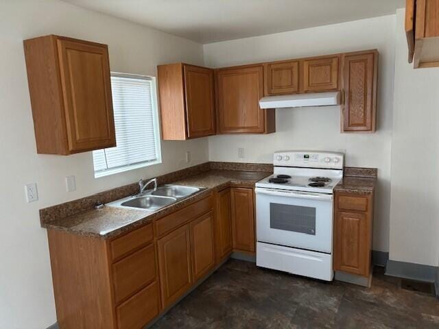 kitchen with electric range, brown cabinetry, a sink, and under cabinet range hood