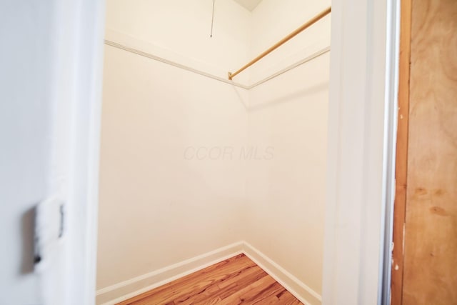 walk in closet with hardwood / wood-style flooring