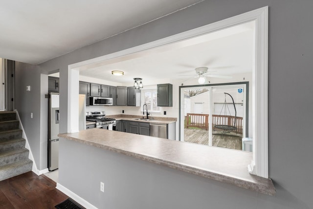 kitchen featuring a sink, ceiling fan, stainless steel appliances, dark wood-style flooring, and gray cabinets