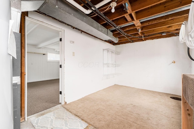 below grade area with carpet and concrete block wall
