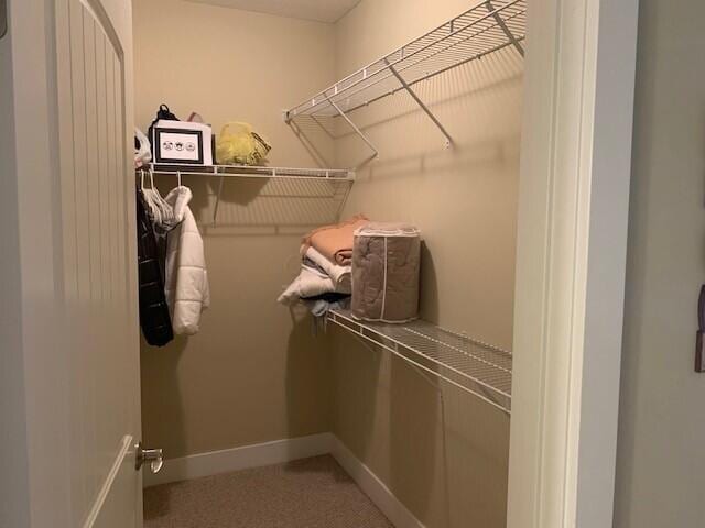 view of walk in closet