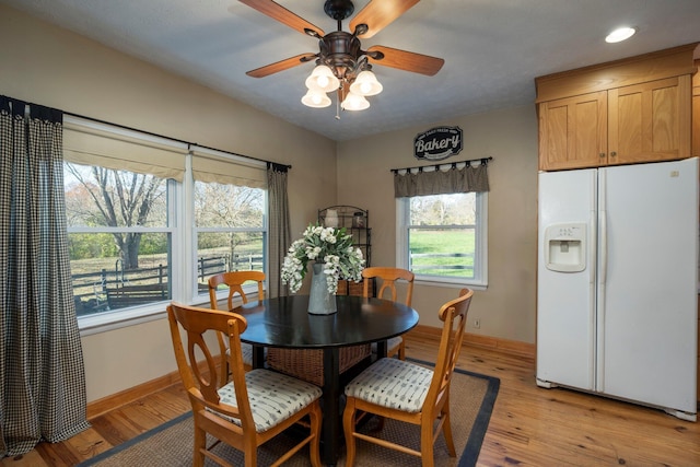 dining area with ceiling fan and light wood-type flooring