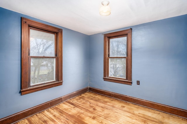 spare room featuring a wealth of natural light and light wood-type flooring