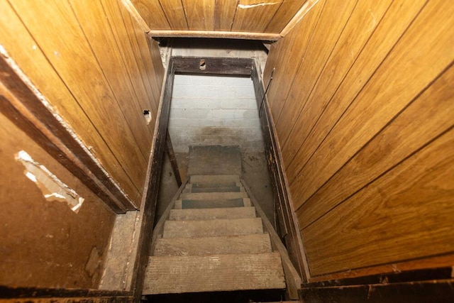 staircase featuring wooden ceiling and wood walls