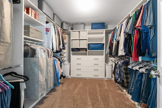 walk in closet with carpet