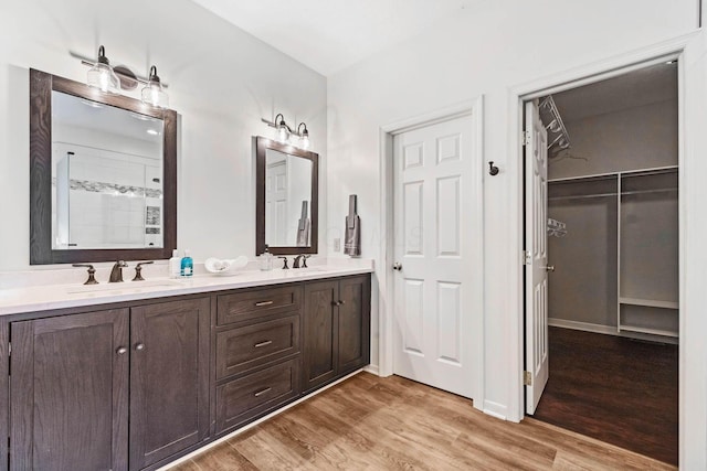 bathroom with hardwood / wood-style flooring and vanity