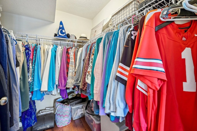 walk in closet with hardwood / wood-style flooring