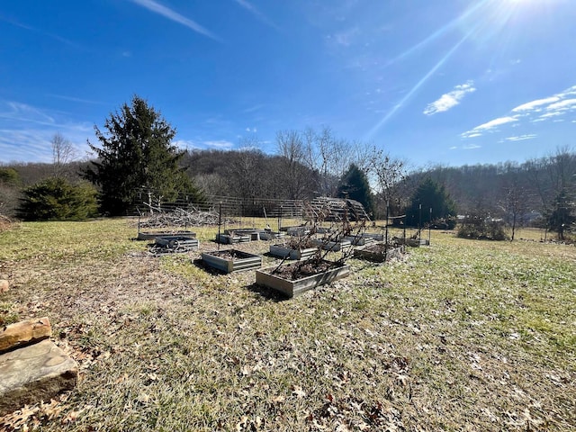 view of yard with a rural view