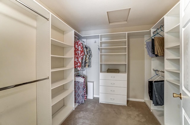 view of walk in closet