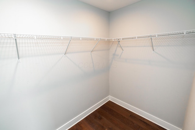 spacious closet with wood-type flooring