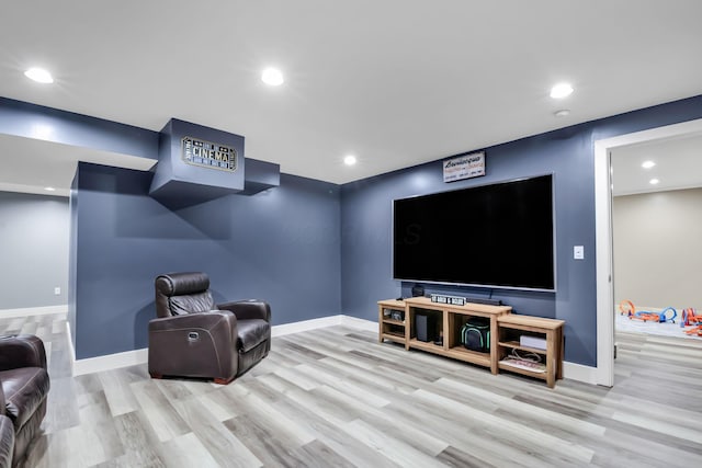 cinema room featuring light hardwood / wood-style flooring