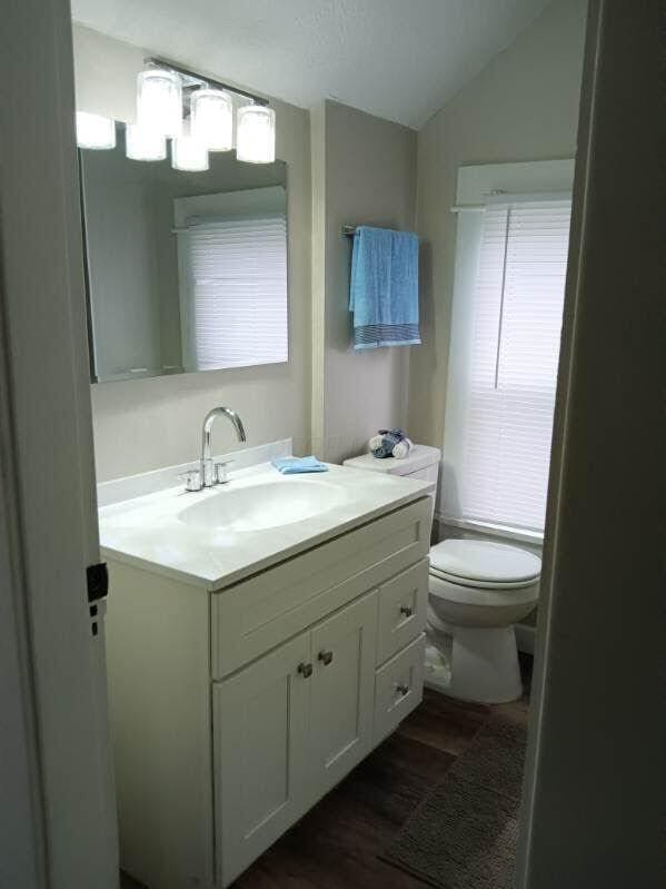 bathroom with vanity, hardwood / wood-style flooring, lofted ceiling, and toilet