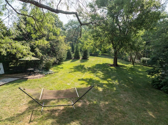 view of yard with a patio area