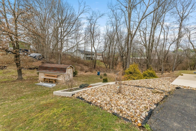 view of yard with a storage shed and an outbuilding