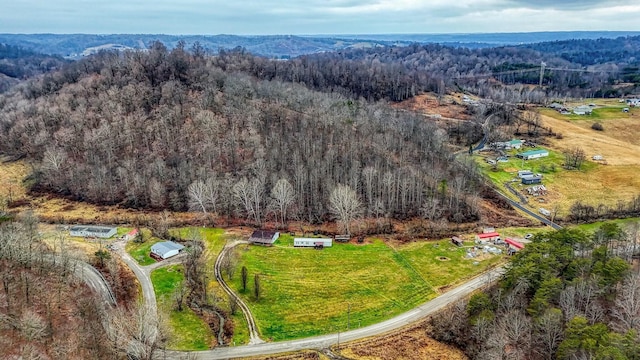 aerial view with a rural view