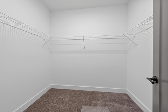 spacious closet with carpet