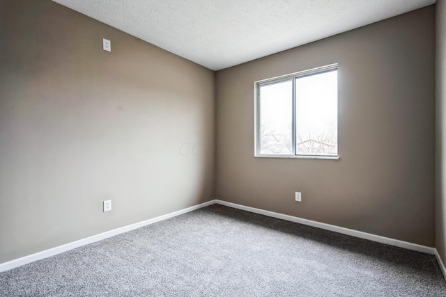 empty room featuring carpet flooring and a textured ceiling