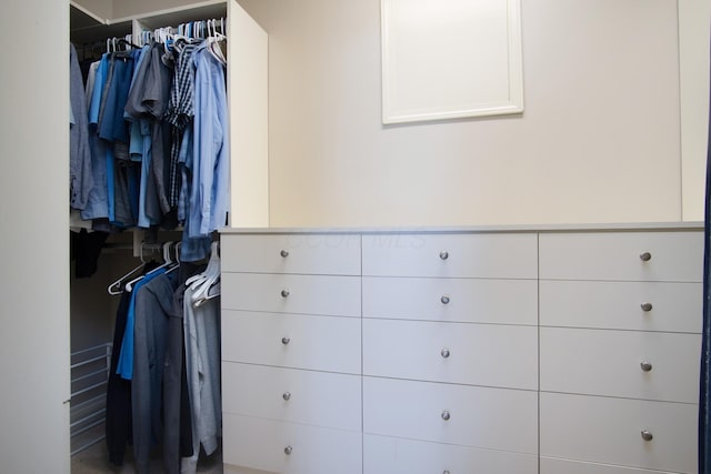 6268 Bellow Valley Dr, Dublin, OH 43016 - view of spacious closet