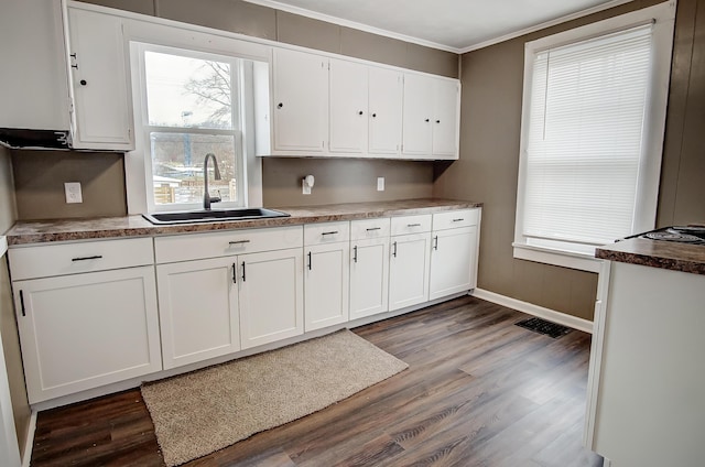 kitchen with wood-type flooring, sink, white cabinets, and crown molding