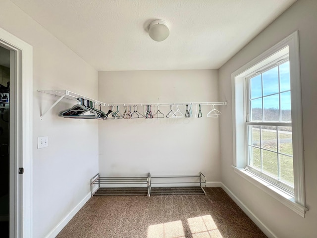 4021 County Road 124, Cardington, OH 43315 - interior space with baseboards, carpet flooring, and a textured ceiling