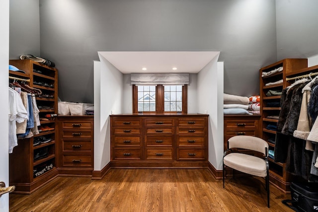 walk in closet featuring wood-type flooring