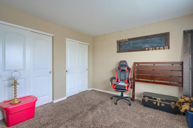 interior space with carpet